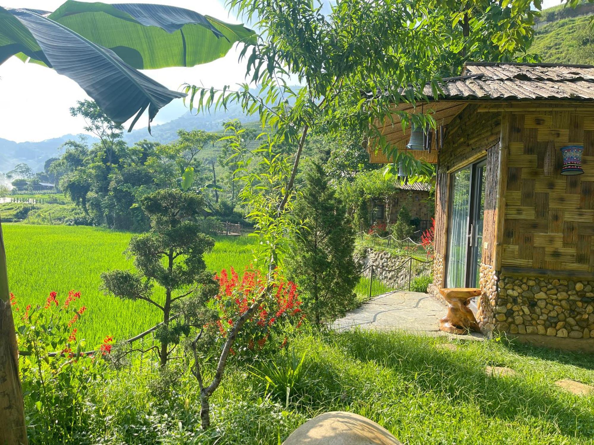 בית הארחה Sapa Bamboo Eco מראה חיצוני תמונה